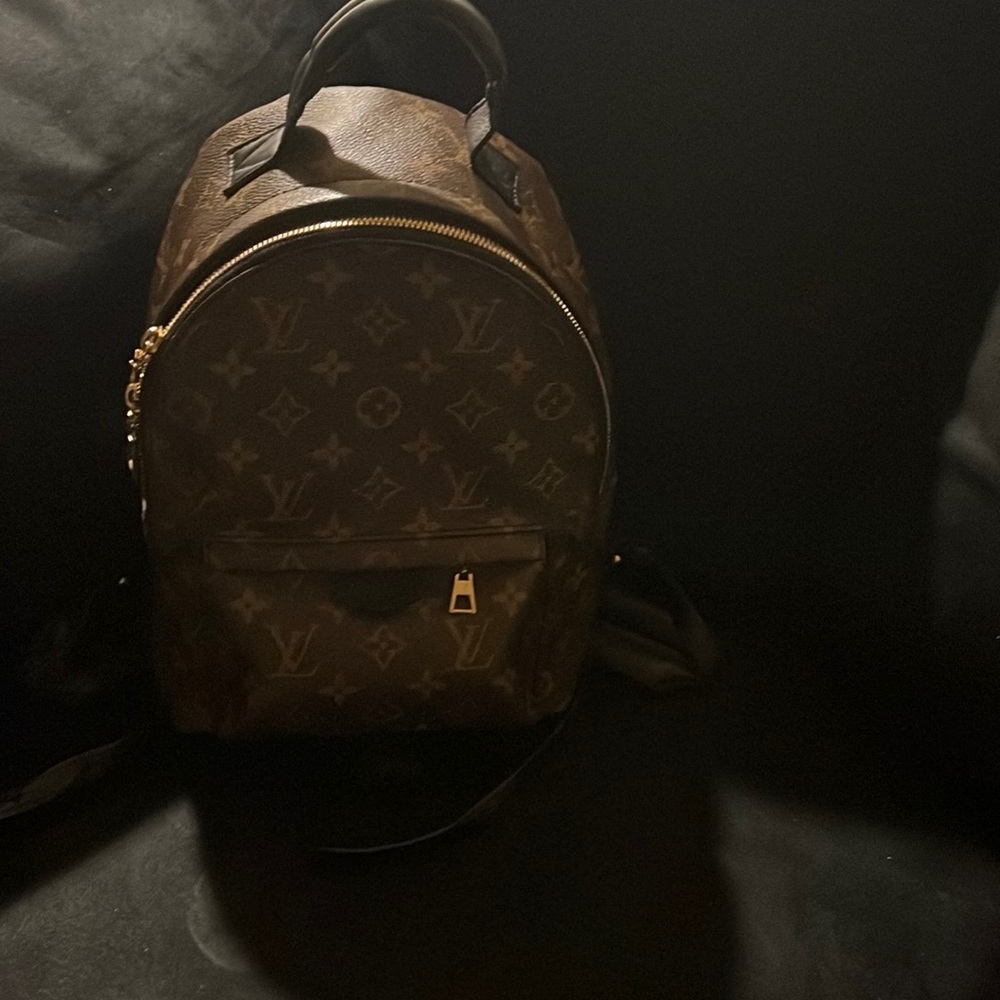 LV Authentic Back pack